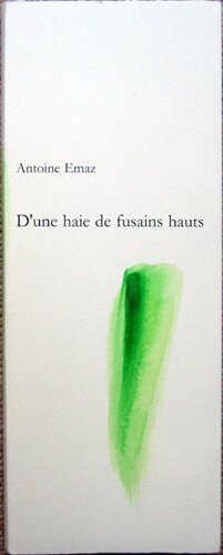 livre d'artiste