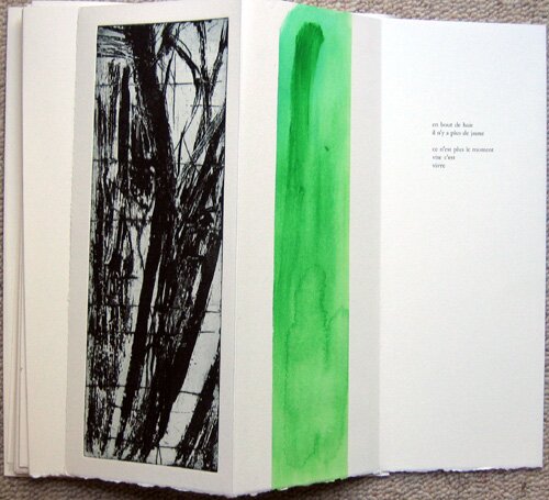 livre d'artiste