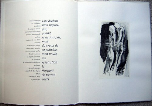 livre d'artiste