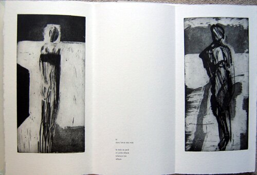 livre d'artiste